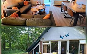 Butterflies, Bungalow 134